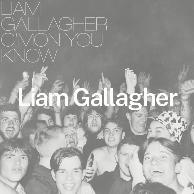 Liam Gallagher thmb.png