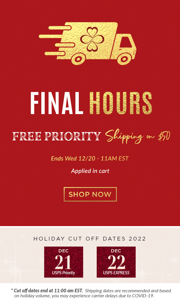 BlingJewelry-final-hours-free-priority-shipping-Dec2023.gif