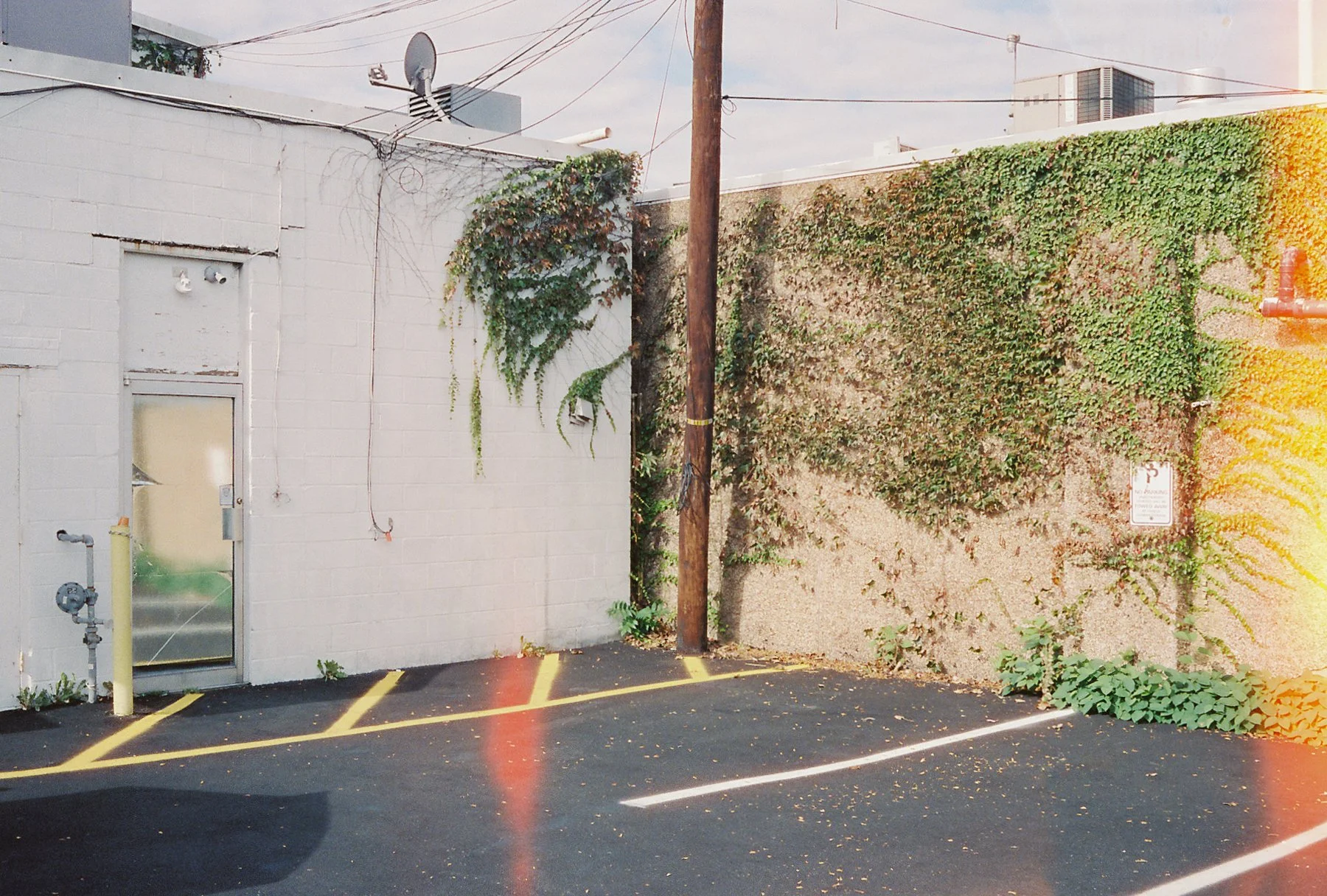 fall-reflection-sun-leak-film-35mm-june-1.jpg