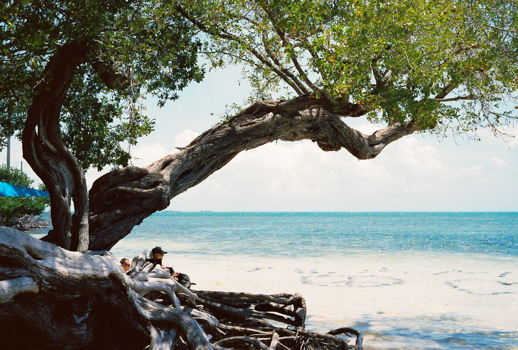 MIAMI-BEACH-MAY-SWAMP-KEY-WEST-KOW-07.jpg