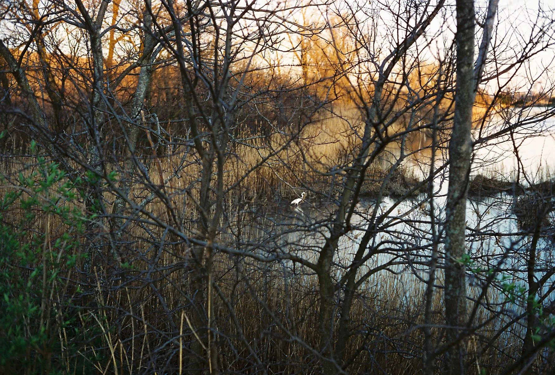 0042kowal007025-R1-E012.jpg