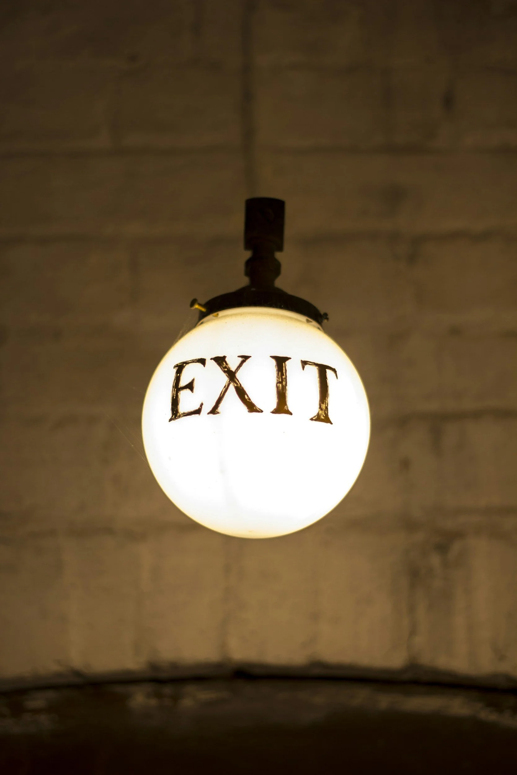 A ceiling light with an oval-shaped white glass cover that has the word 'EXIT' printed on it in bold, black letters, hanging from a dark fixture against a wood-paneled ceiling.