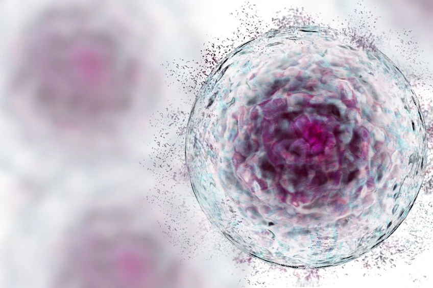 Mesenchymal Stem Cell Therapy in Orthopedics: Moving Beyond Pain Relief Toward True Regeneration