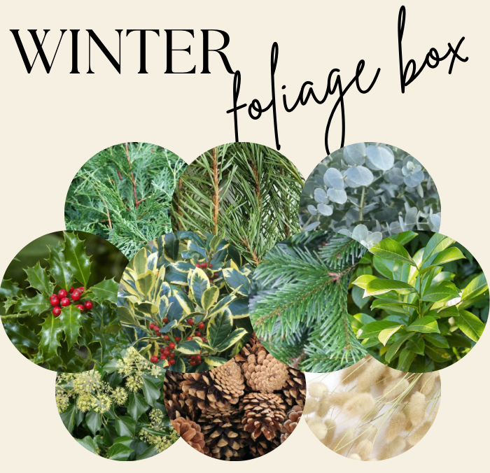 Winter Foliage Box