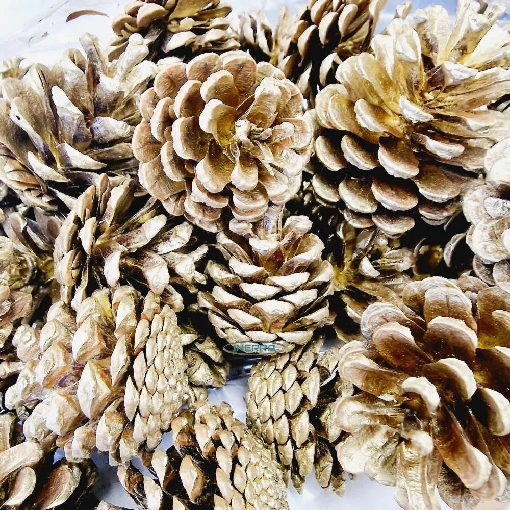 DIY Christmas Wreath Kit - Homegrown seasonal foliage
