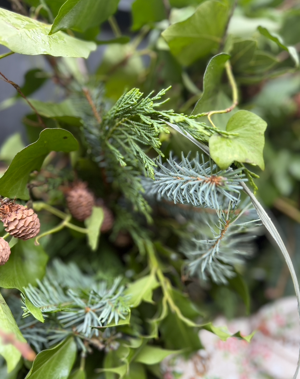DIY Christmas Wreath Kit - Homegrown seasonal foliage