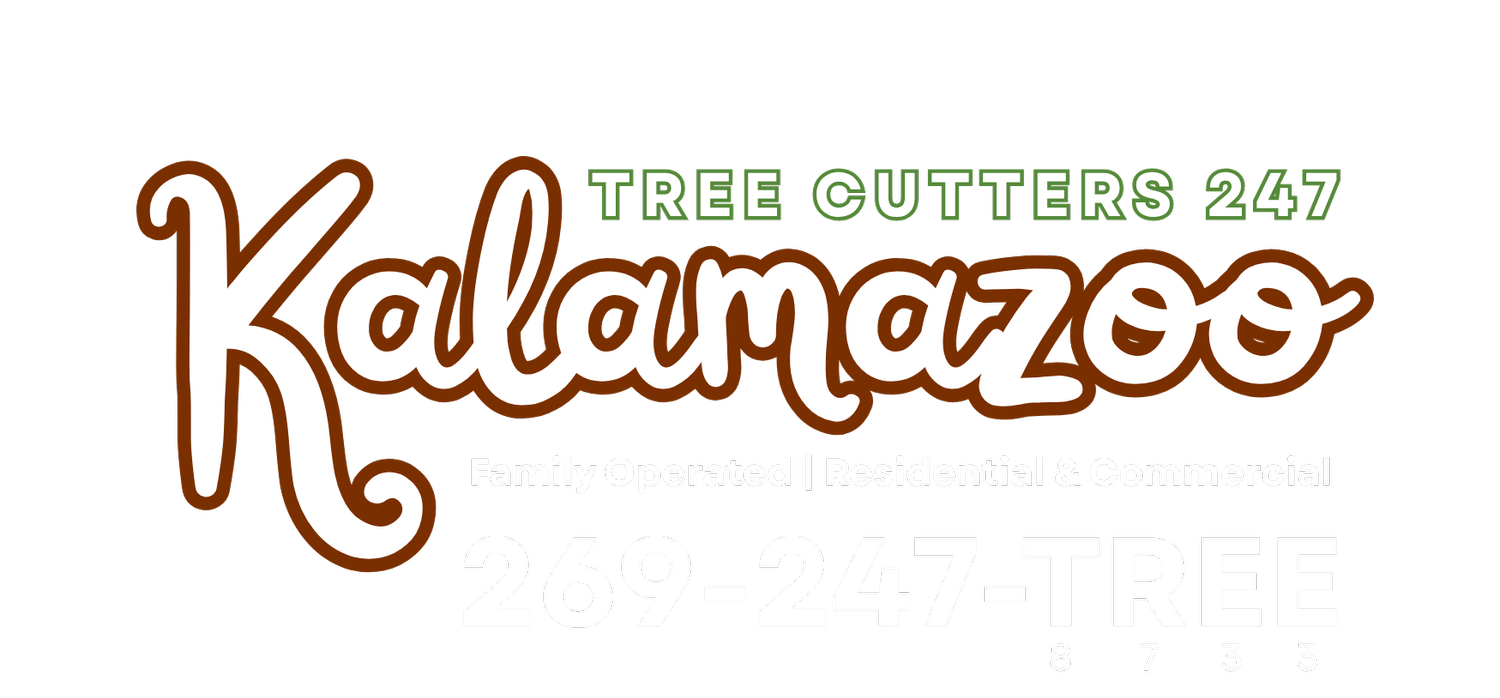 Kalamazoo, MI (Copy)