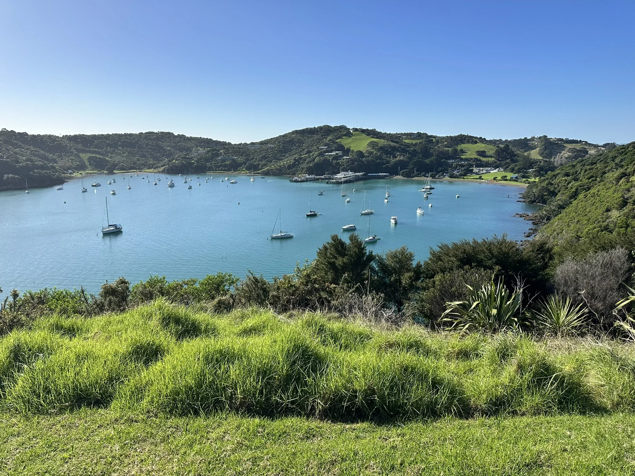 Getting to Waiheke Island