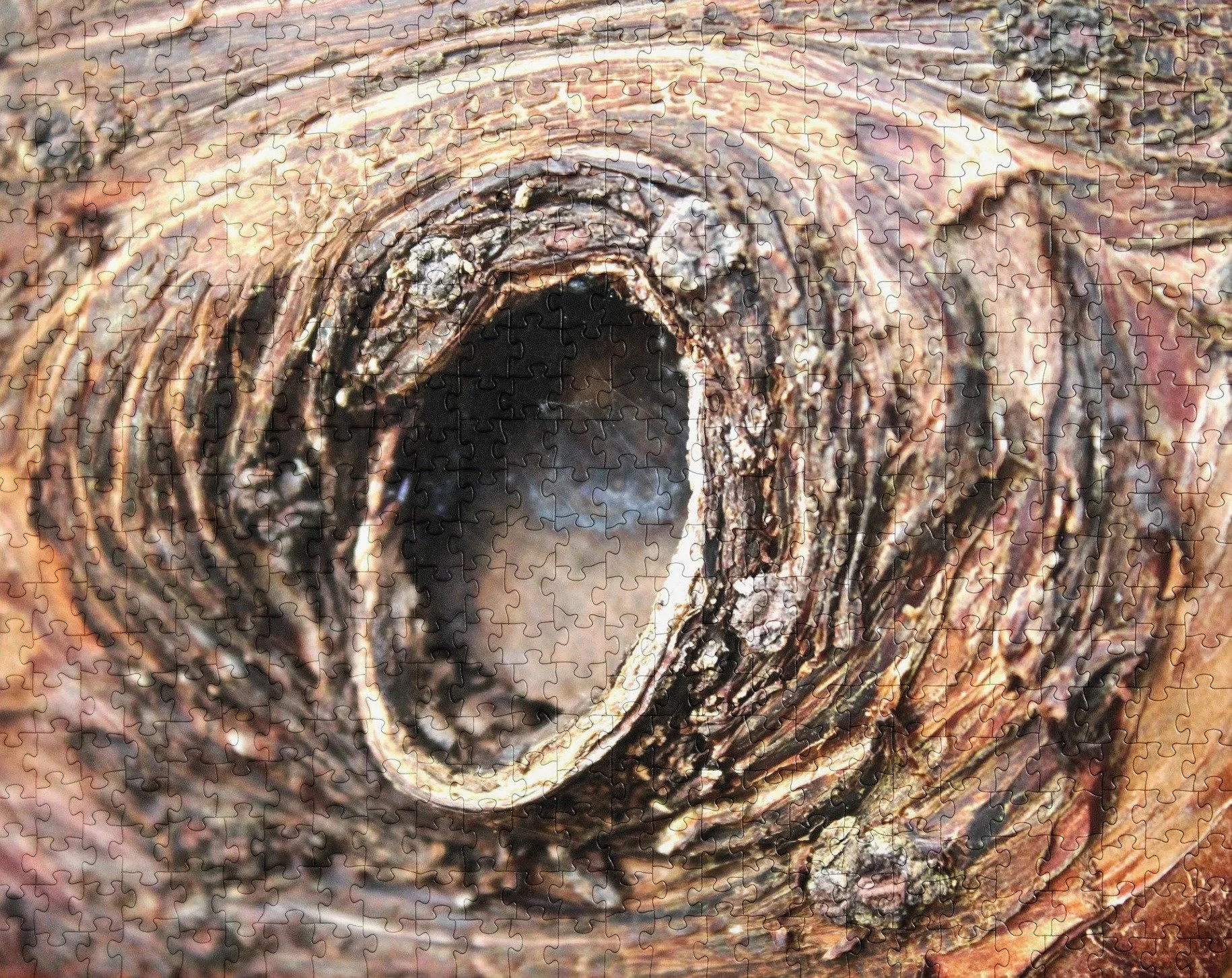 Heartwood Eye Jigsaw Puzzle