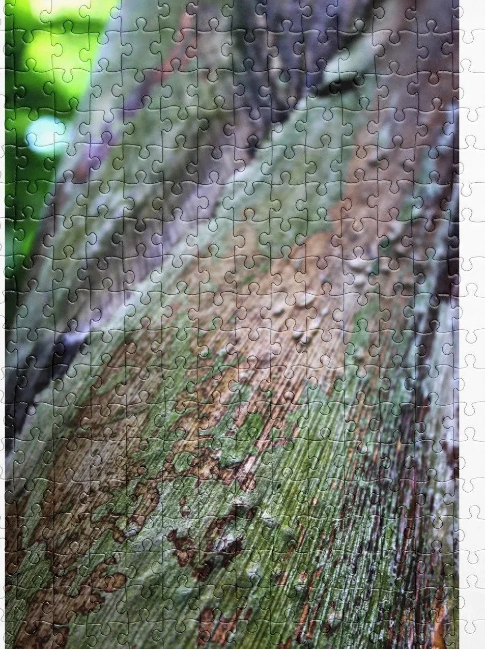 Weathered Grain Jigsaw Puzzle