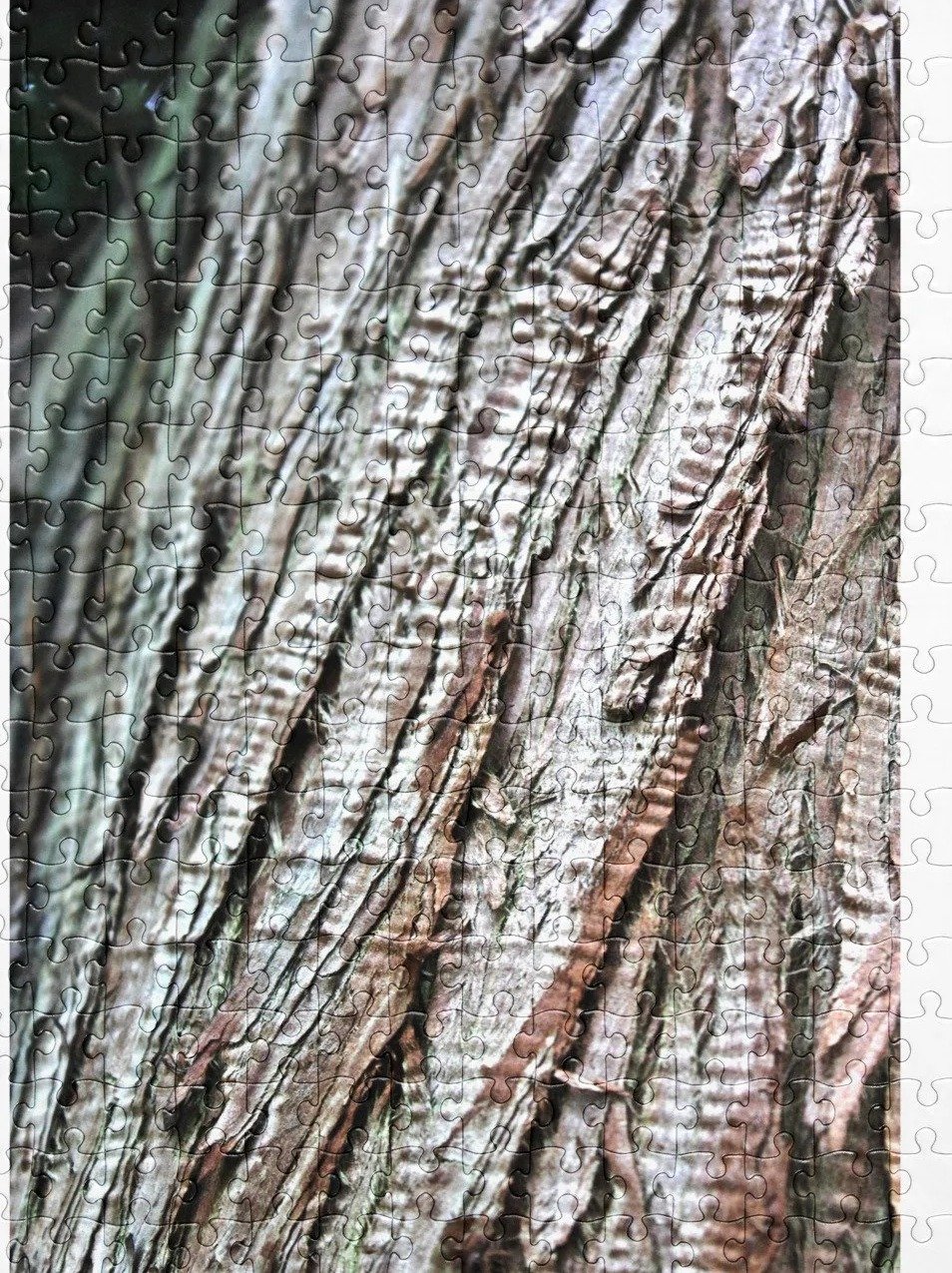 Ridgeline Bark Jigsaw Puzzle