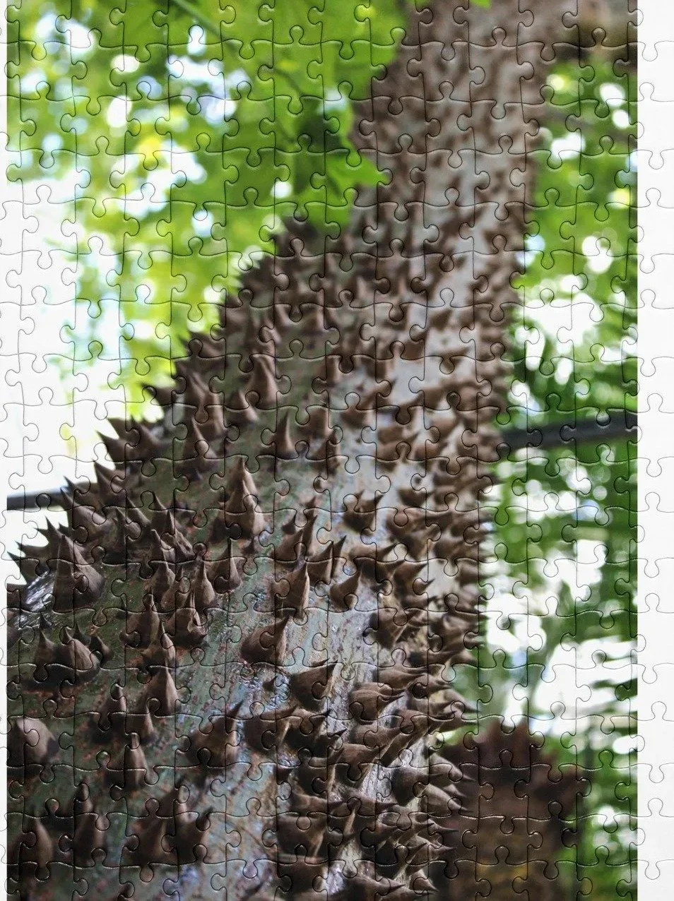 Thorned Ascent Jigsaw Puzzle