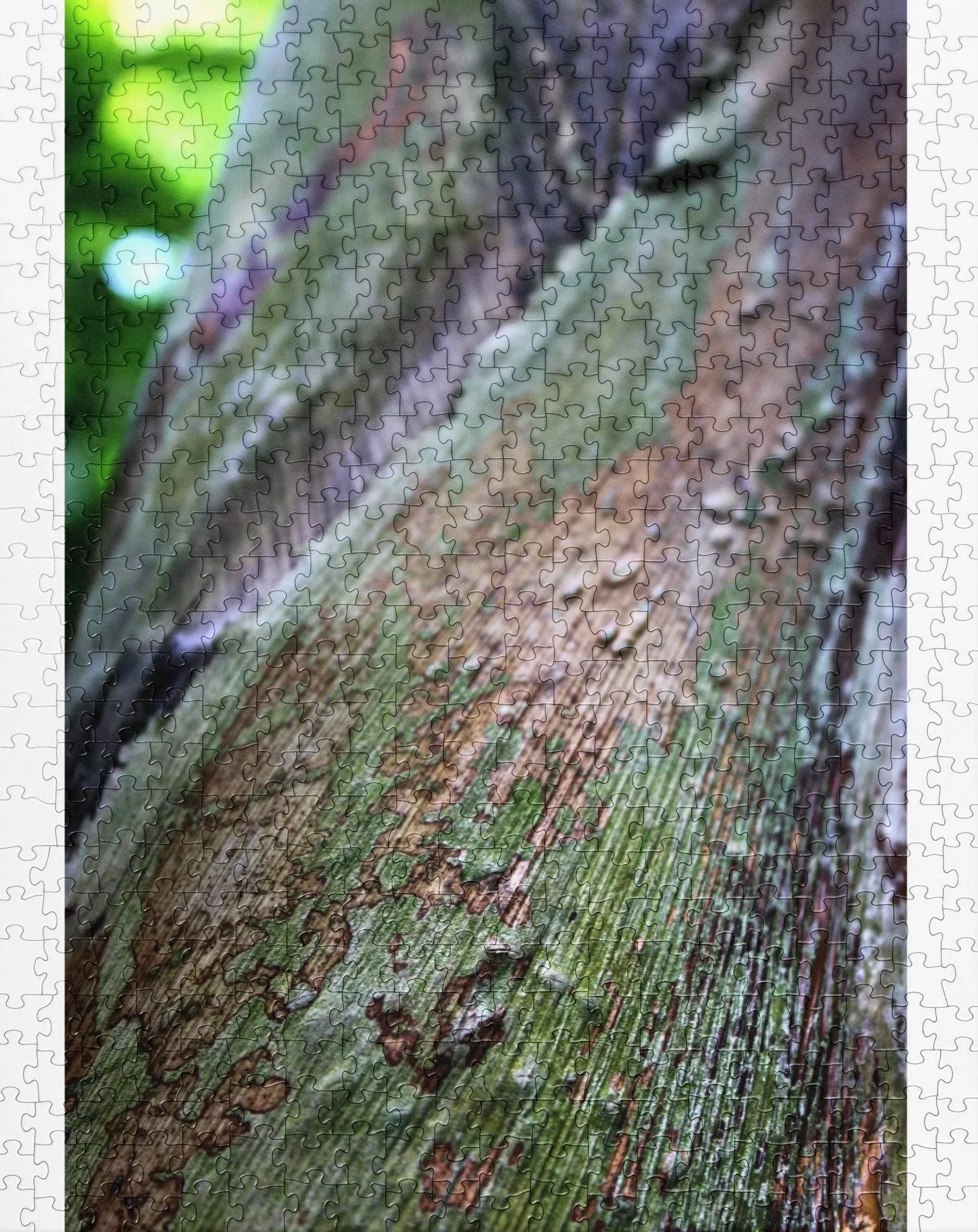 weathered-grain-520-cropped.jpg