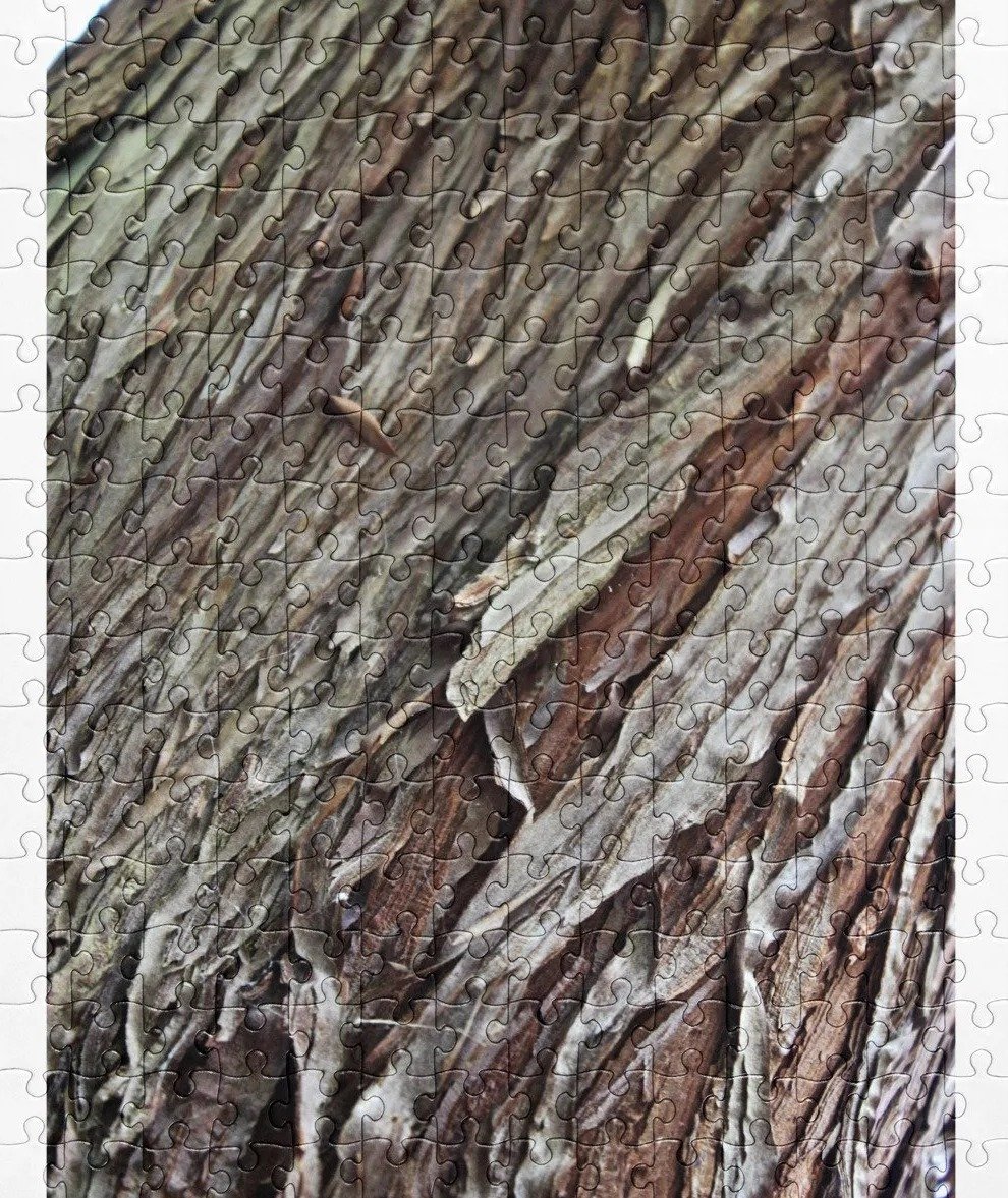 Cedar Fringe Jigsaw Puzzle