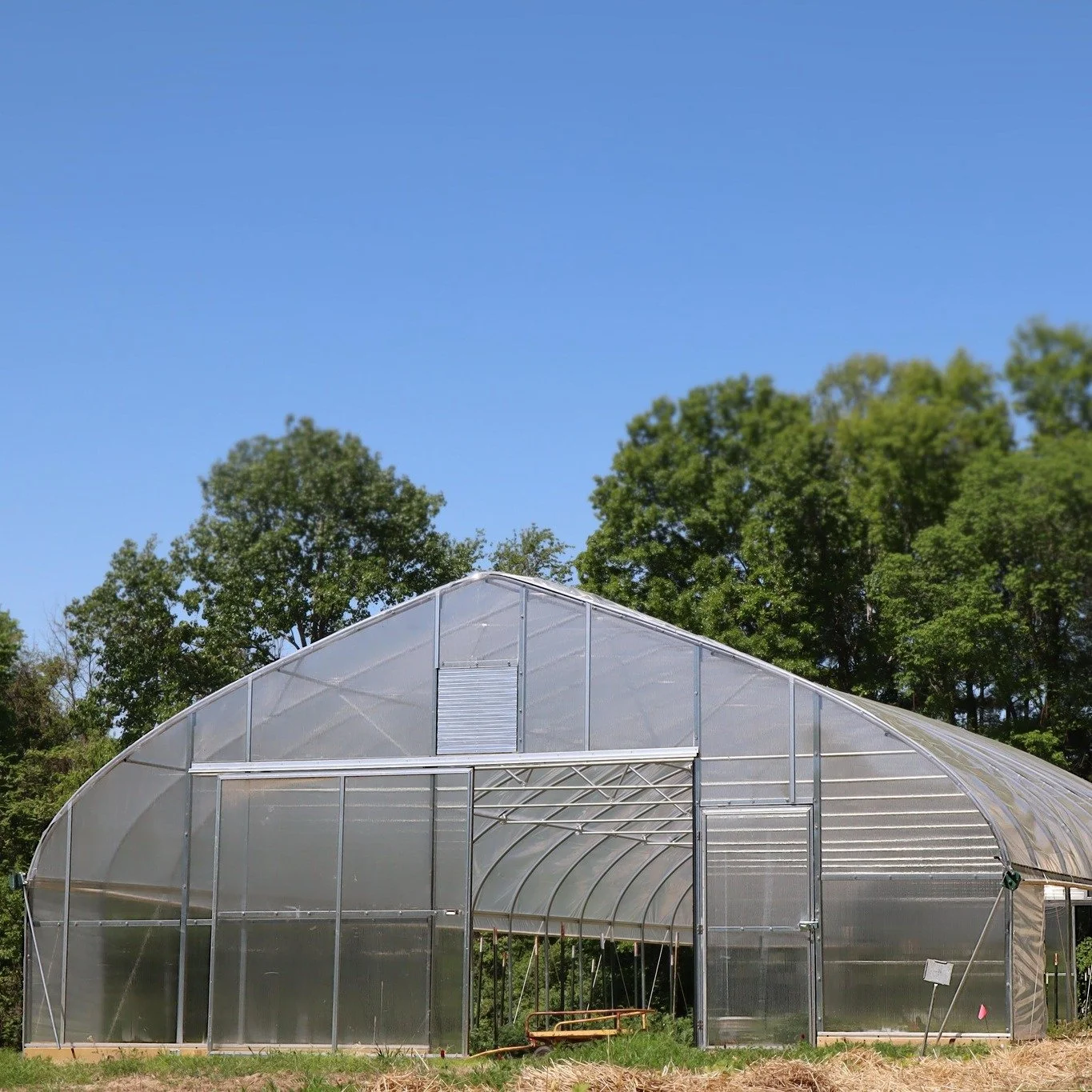 Introducing our new greenhouse, she's still in the works but is coming along nicely. 

Farm to table all year round, thank you @tonytomato314 !
