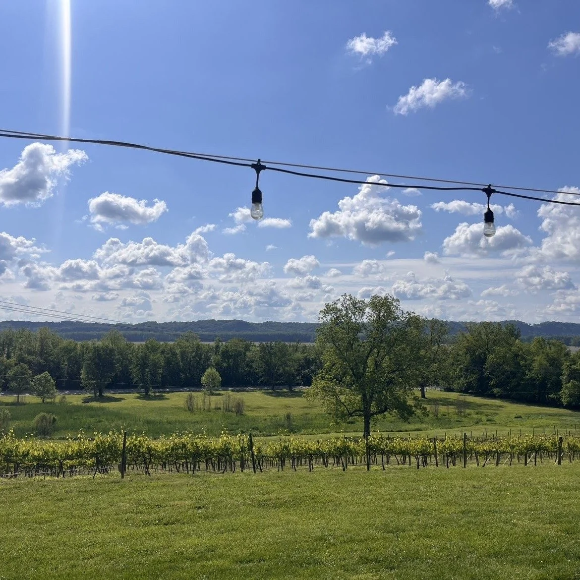 It's always Wine o'clock on our patio with this view. 🍷

#vineyardlifestyle #wineoclock #missouriwine