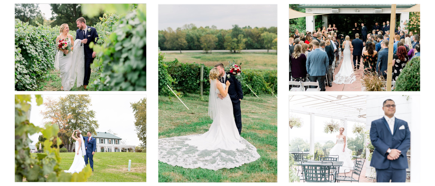Collage of wedding photos featuring couples walking in a vineyard, kissing outdoors, exchanging vows indoors, and standing for portraits indoors.