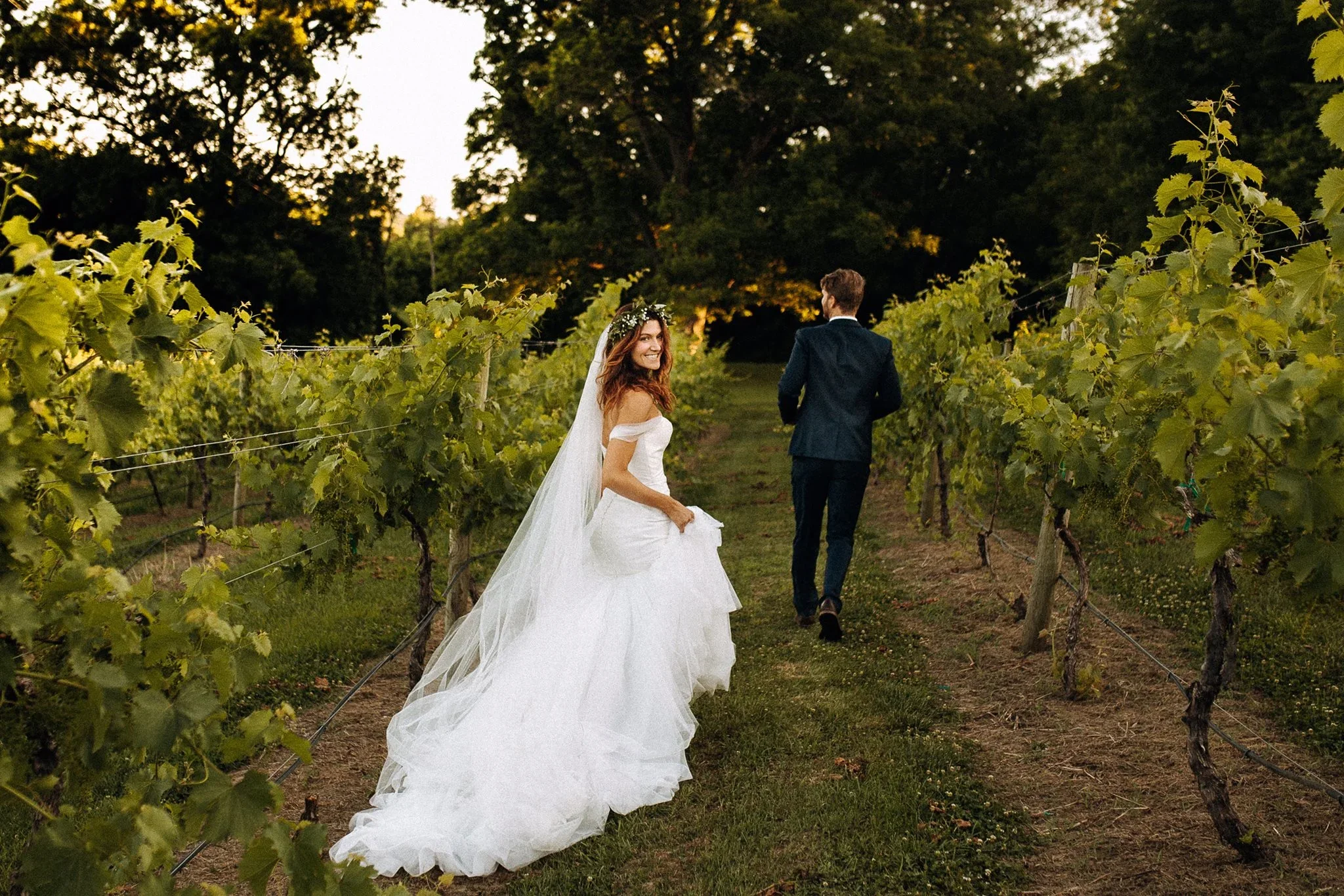 Bride in a white wedding gown and lace veil holding her dress, smiling and looking back, walking through a vineyard with a groom in a dark suit walking ahead, surrounded by green grapevines at sunset.