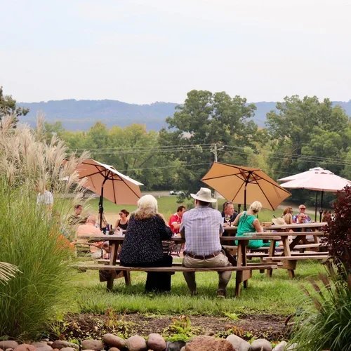 Many guests enjoying outdoor seating and vineyard landscape at Defiance Ridge Vineyards
