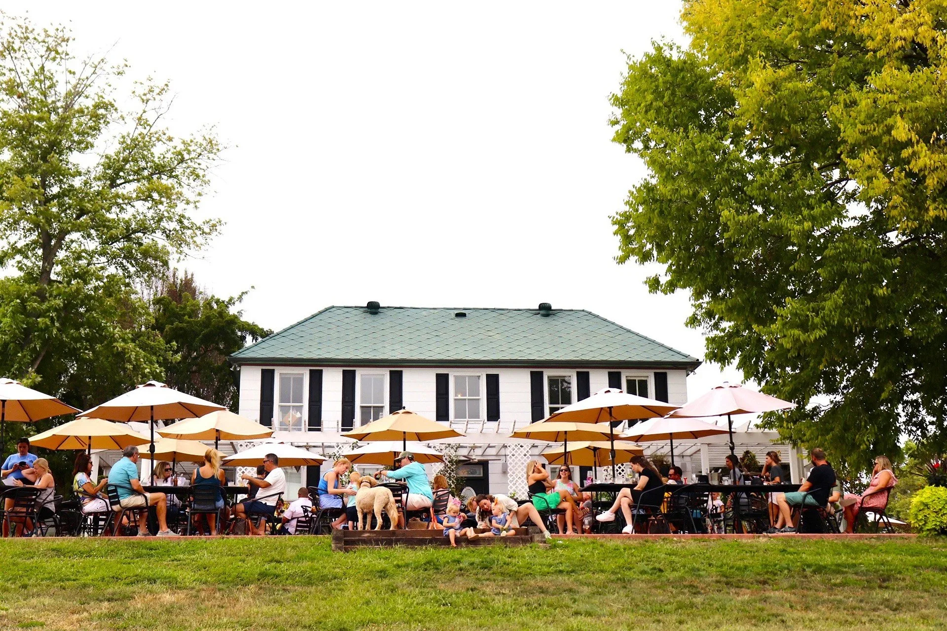 Defiance Ridge Vineyards overlooking the Missouri River Valley