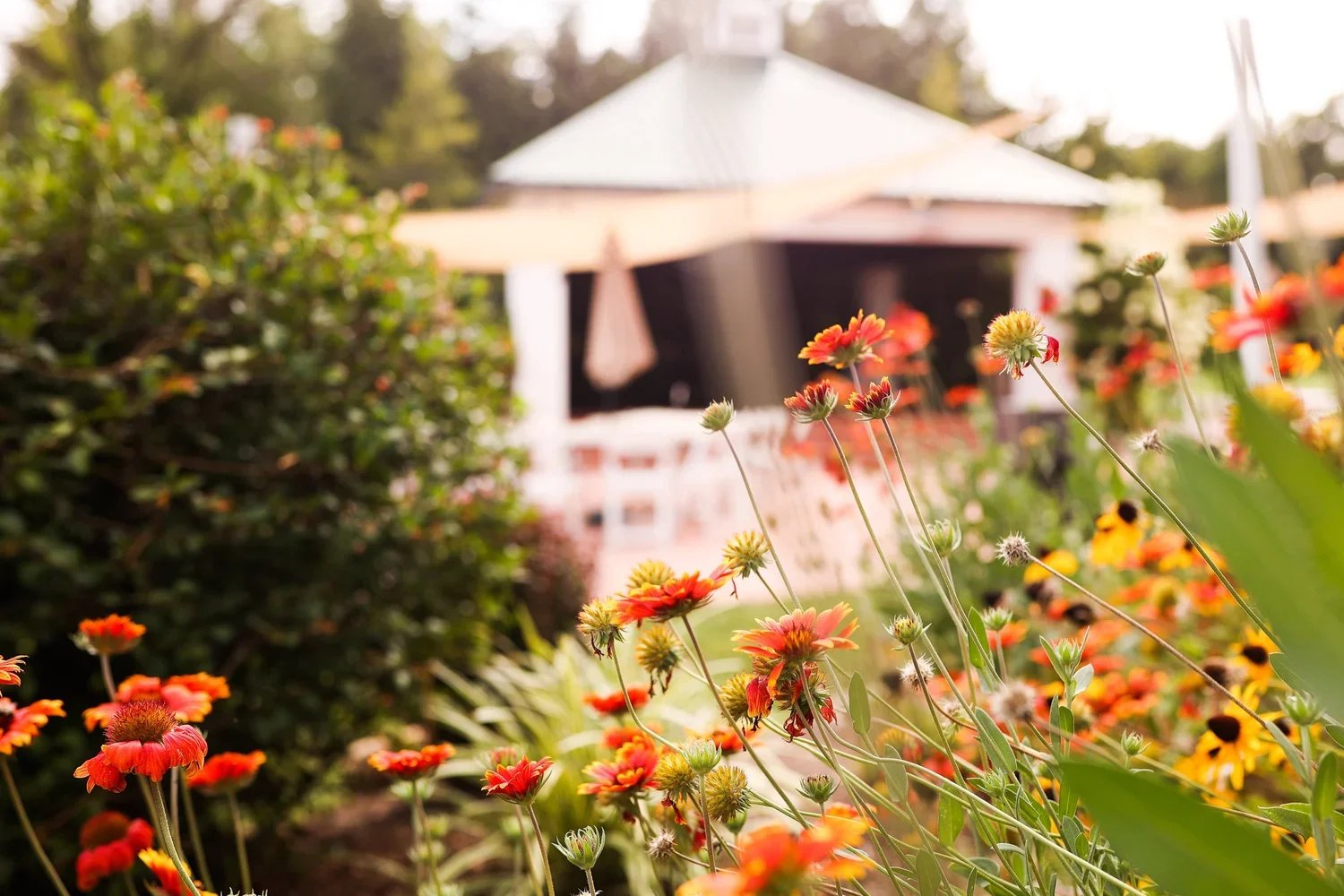 Enjoy live music, wine, and dinner at Defiance Ridge Vineyards