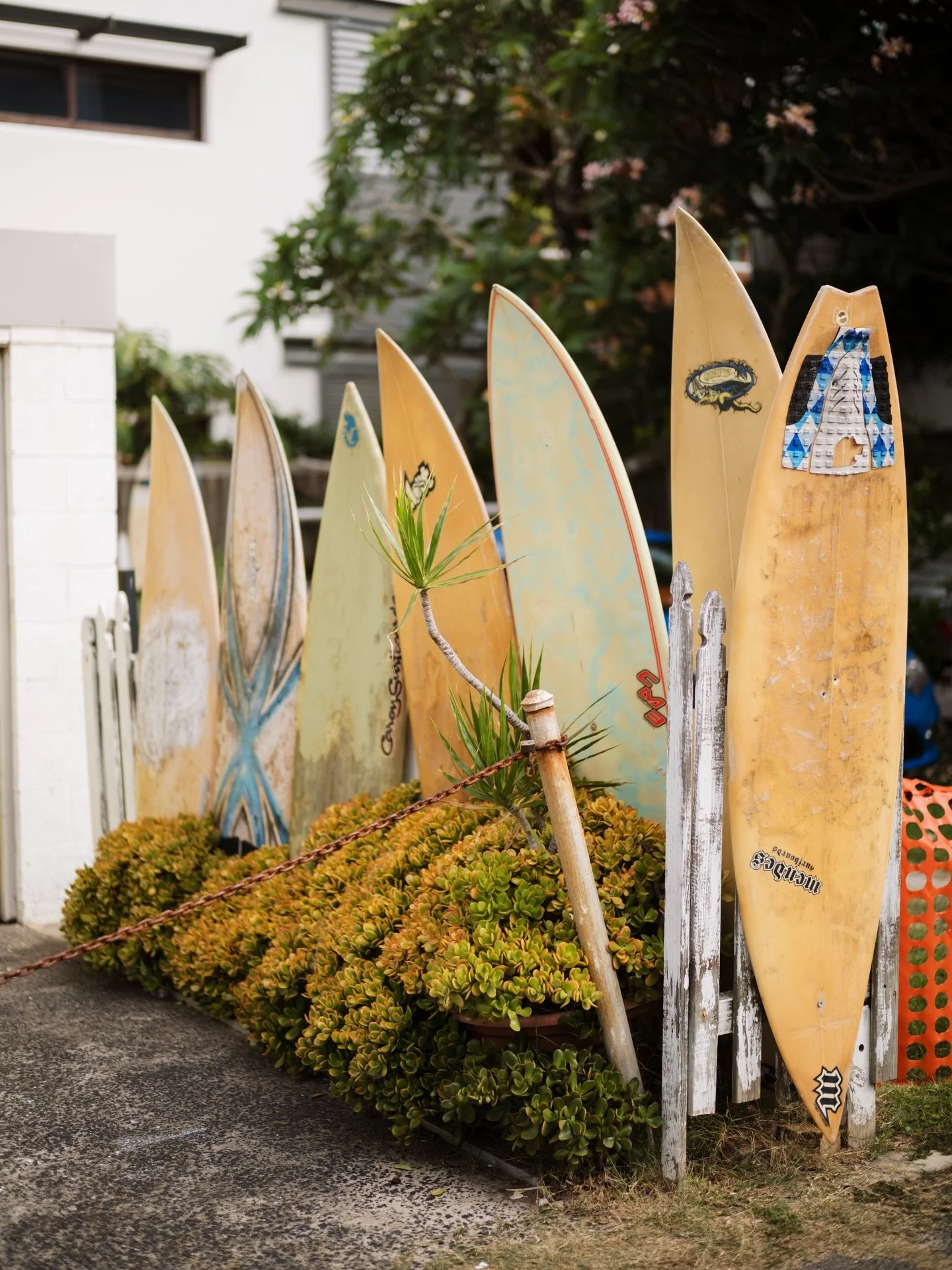 I need a little surfboard-lined driveway like this one day 🌴