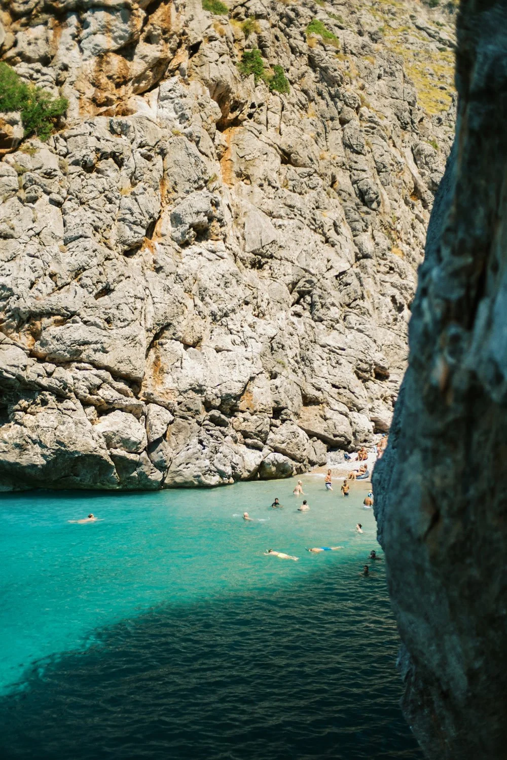 APRIL UPDATES: NEW DIRECTIONS AND EXCITING CHANGES