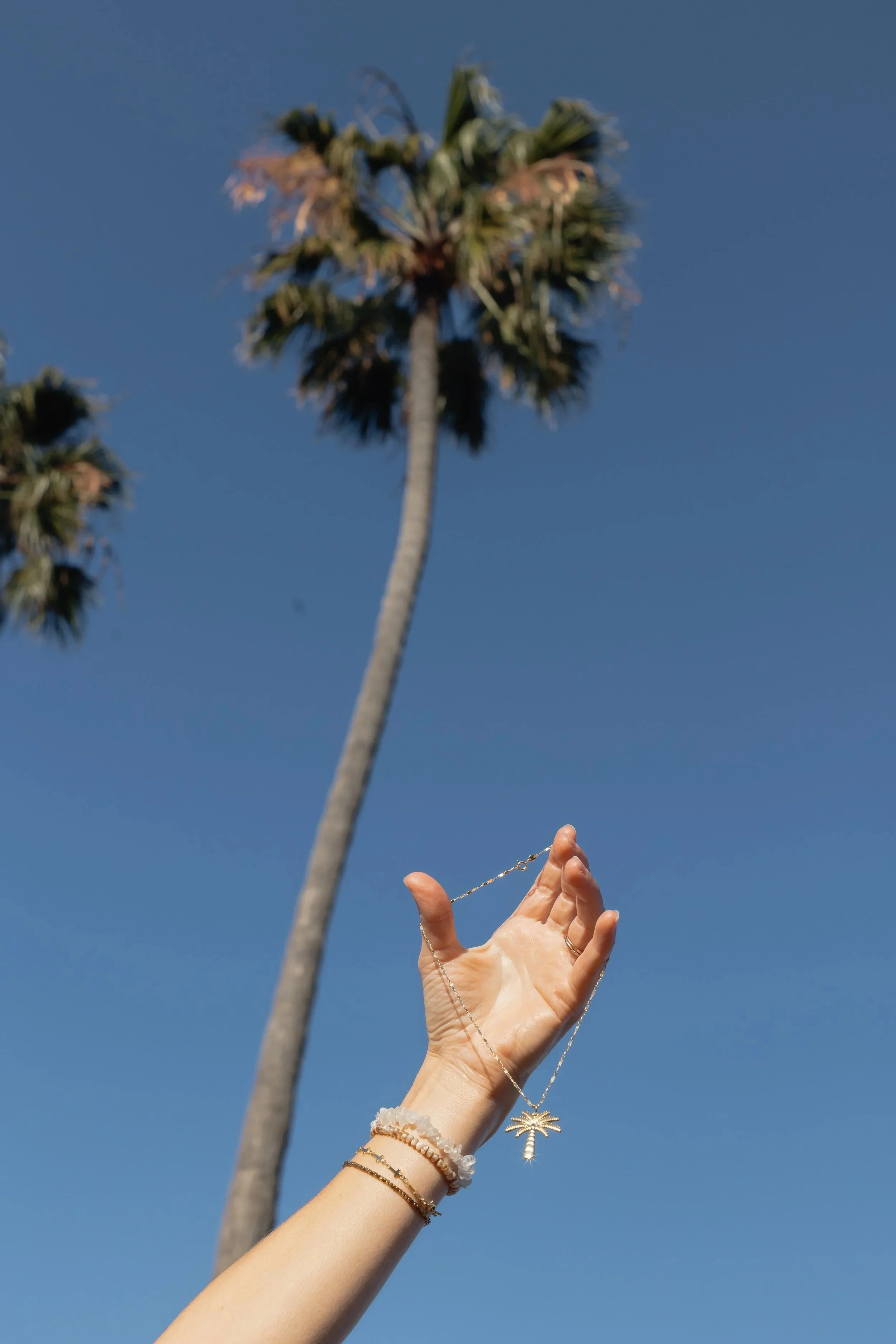 Sumer-65.jpg