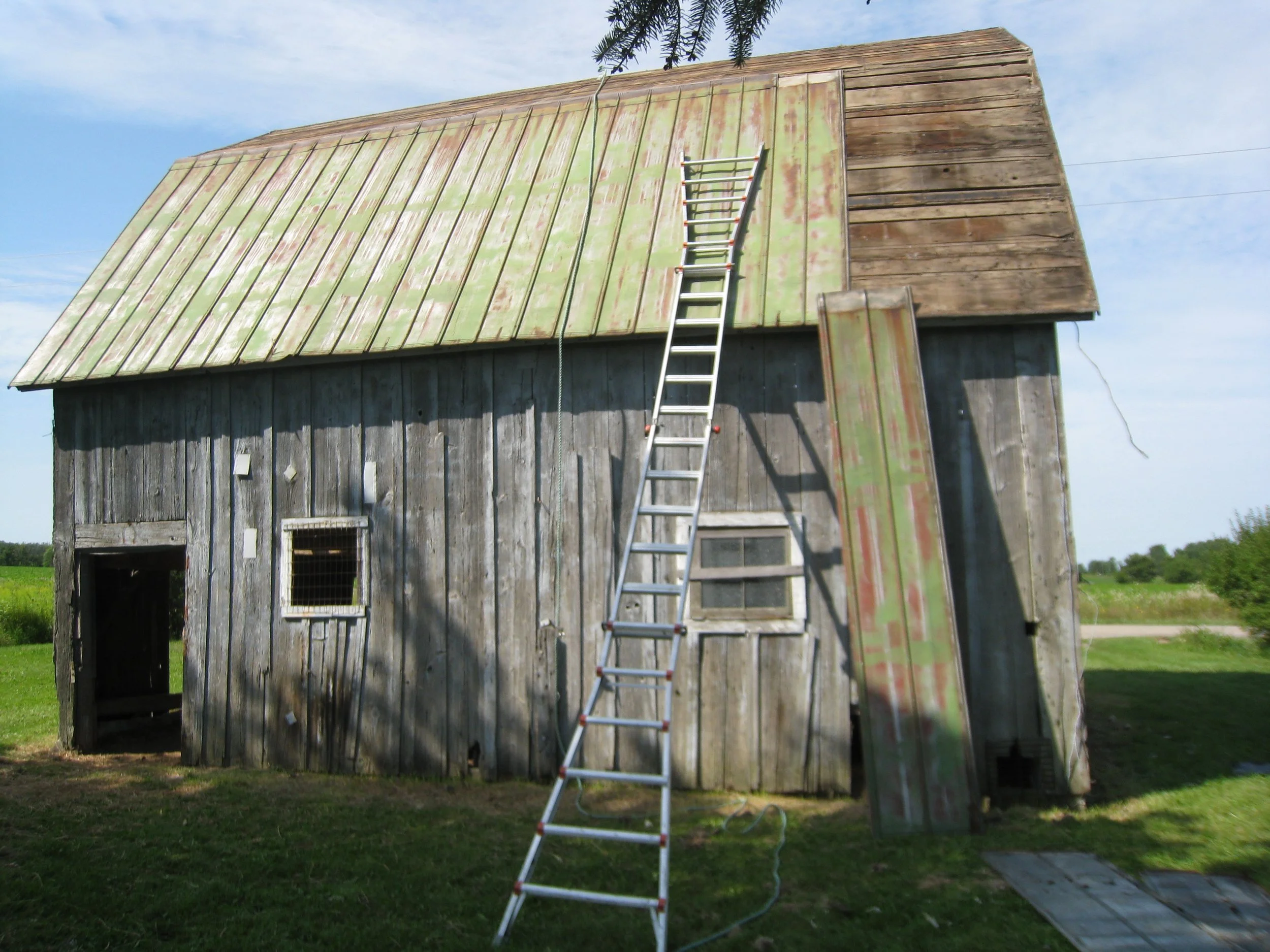 Roof.jpg