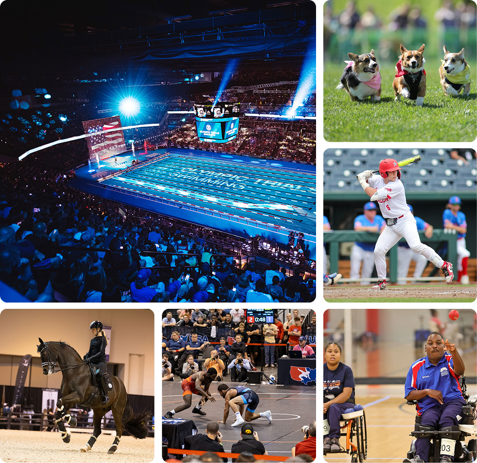 Grouping of six images featuring different OCS events, including: swimming, corgi races, baseball, Special Olympics, wrestling and equestrian competitions.