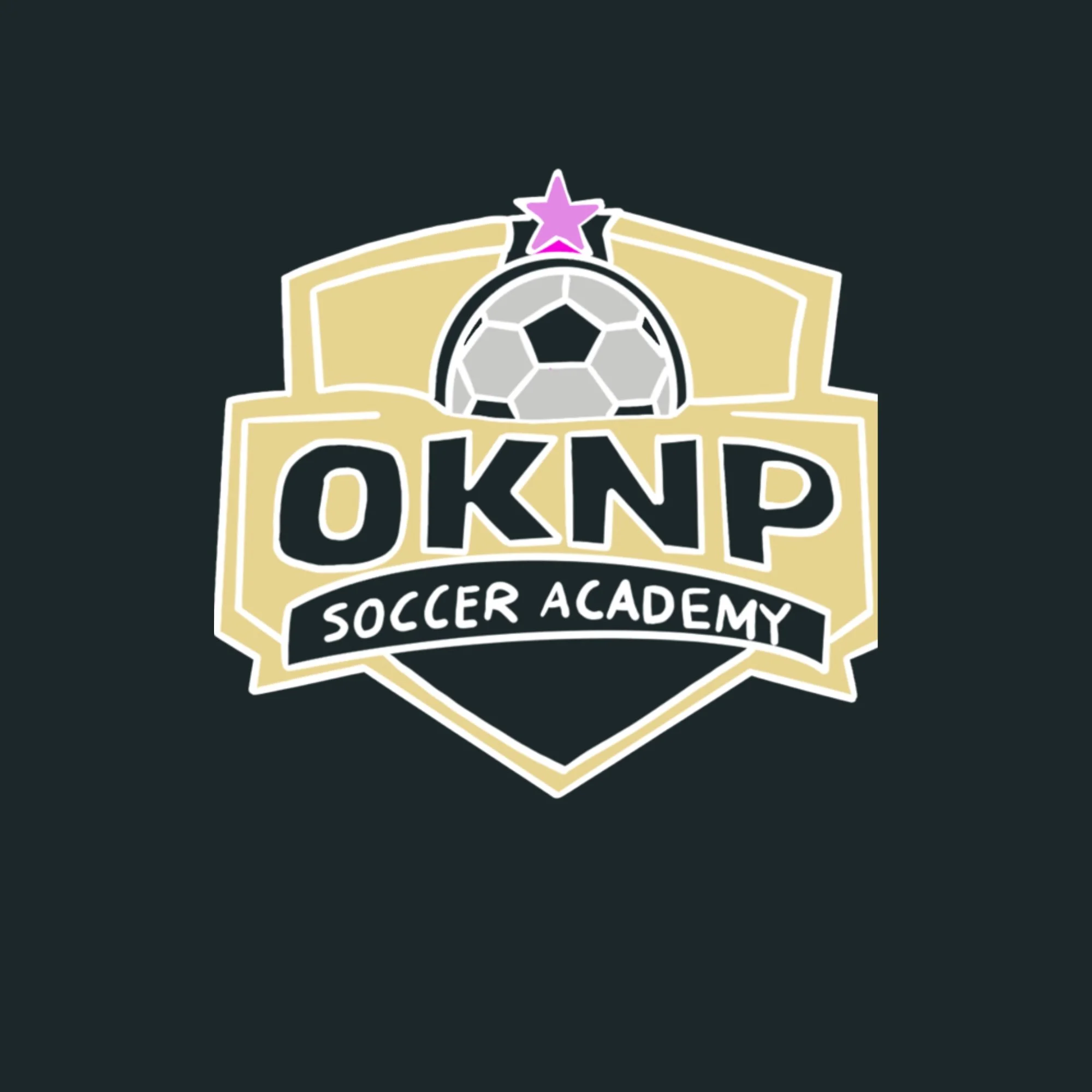 Single Soccer Session