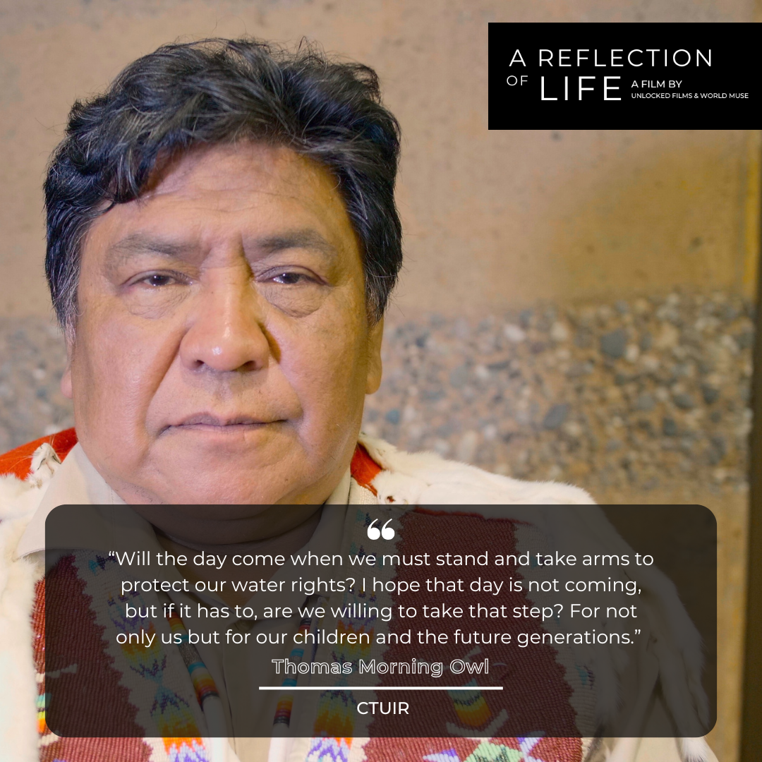 Thomas Morning Owl.png