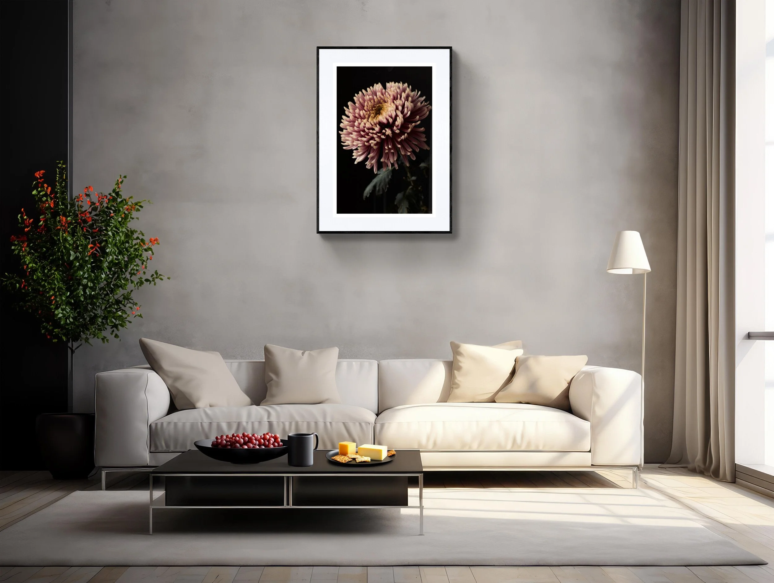Chrysanthemum.jpg