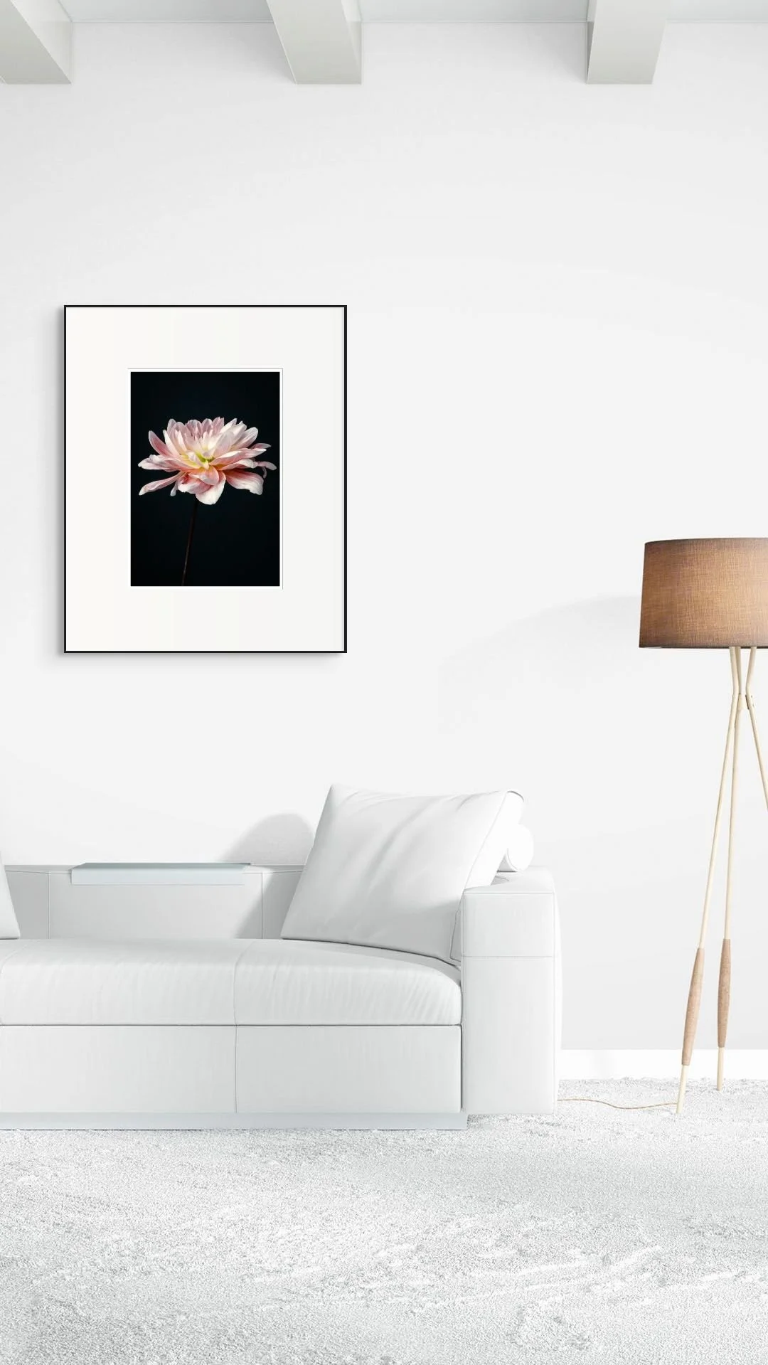 pink dahlia-medium.jpg