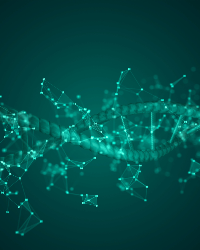 Comprehensive ~ Bioresonance Package