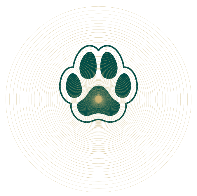 Pets ~ Bioresonance Scan