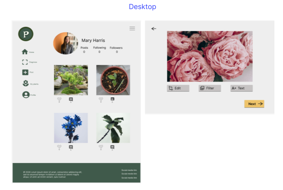 Screenshot of a social media profile page on the left and a photo editing interface with pink roses on the right.