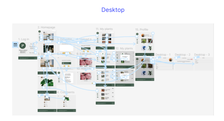 Flowchart diagram of a website’s page structure with links between pages, including homepage, profile, my plants, plant descriptions, and desktop views.