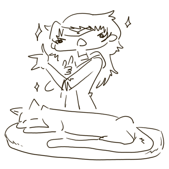 A hand-drawn cartoon of a girl with a Sailor Moon outfit, with a larger sleeping cat on a pillow and sparkles around.