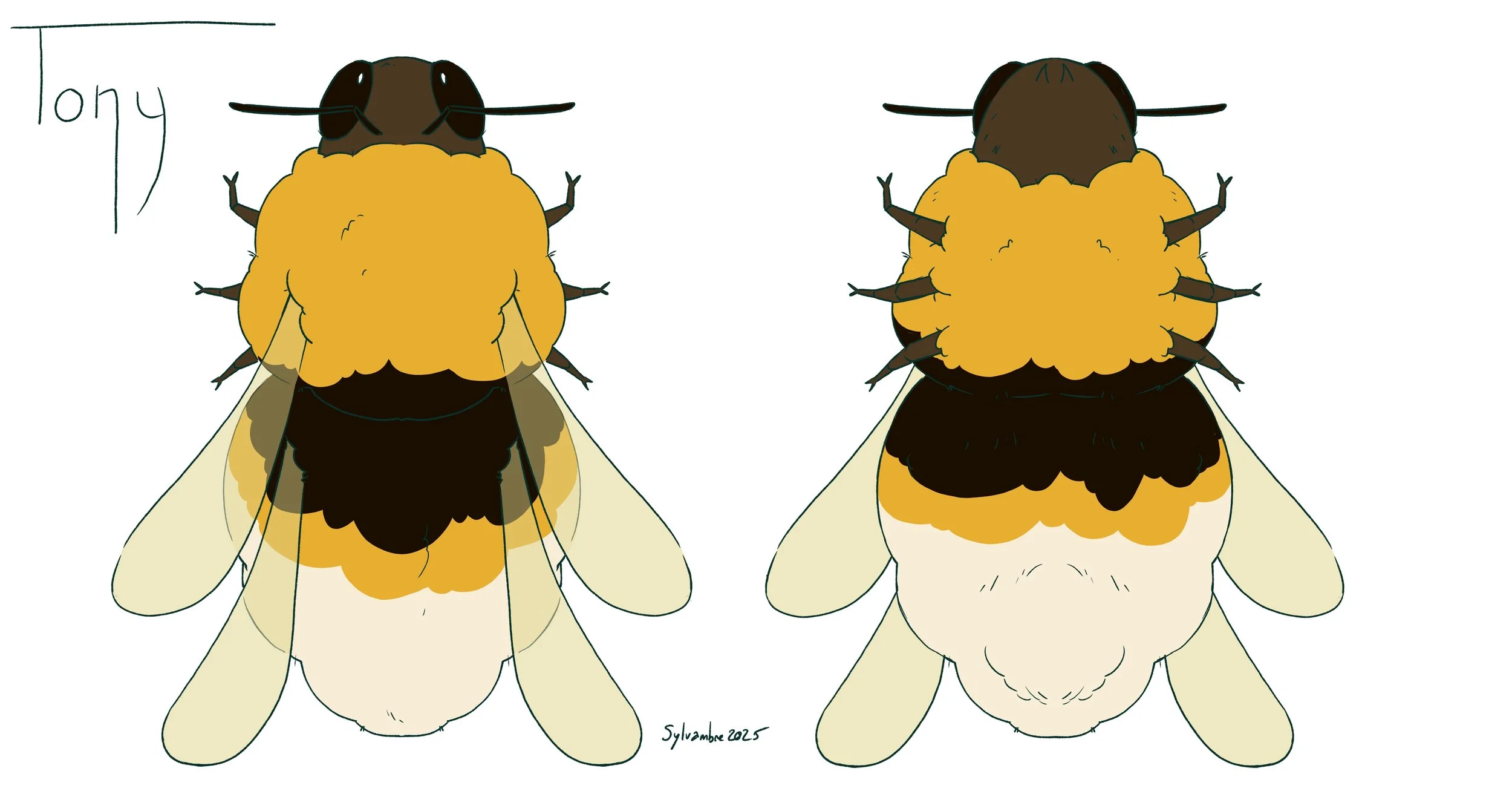 Model Sheet de Tony 