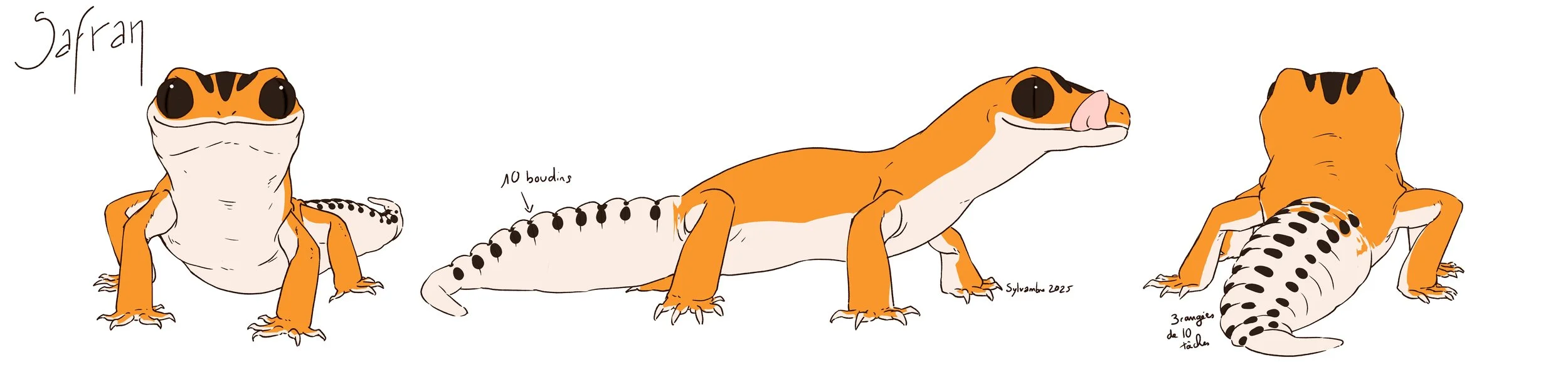Model Sheet de Safran