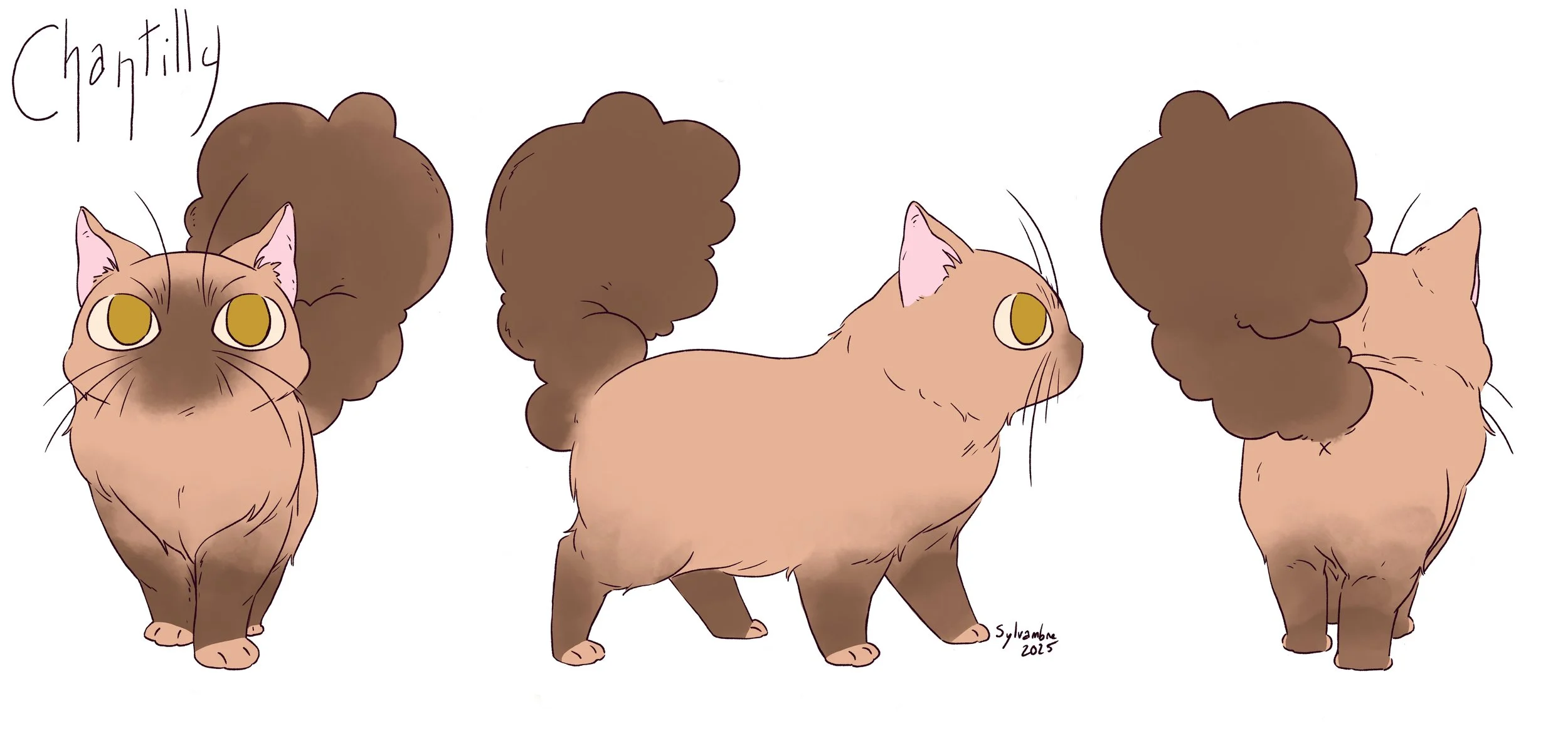 Model Sheet de Chantilly
