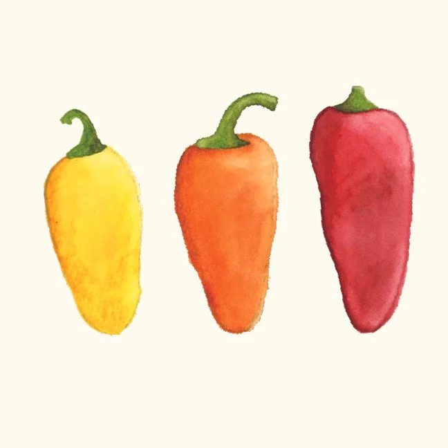 PAINTINGS3.jpg