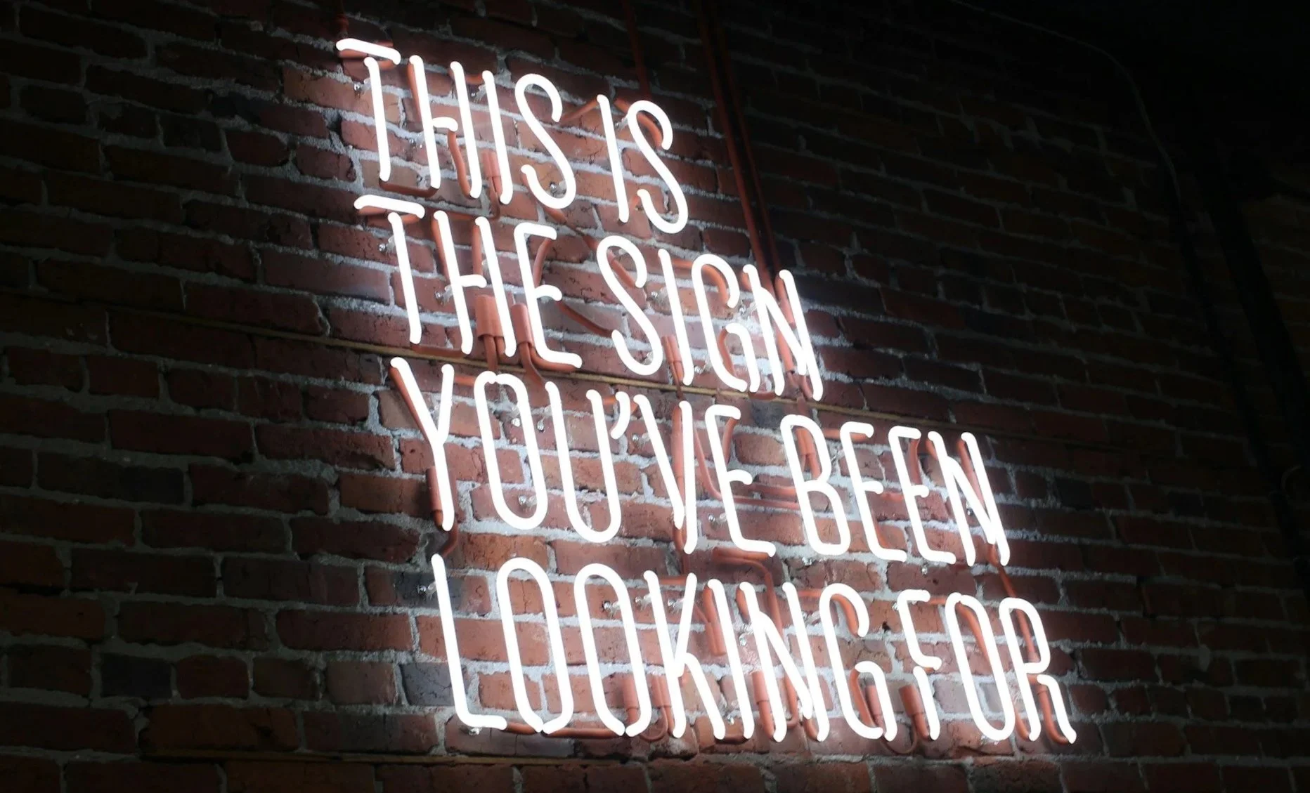 Neon sign on brick wall with the quote 'THIS IS THE SIGN YOU'VE BEEN LOOKING FOR' in pink and white letters.