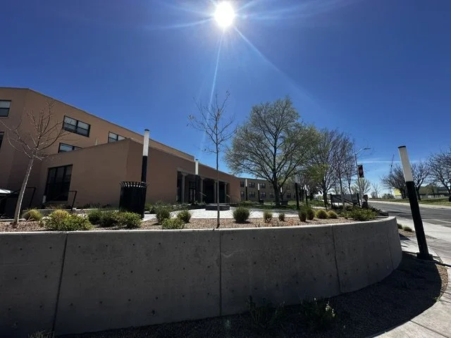 A modern residential building with trees, shrubs, and a concrete curved planter in front, bright sunlight, and a clear blue sky.