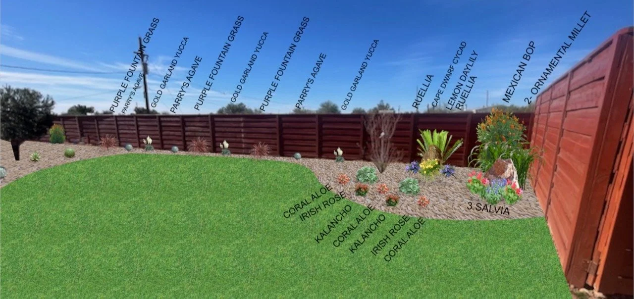 AARON 12- PLANT DIAGRAM CROPPED.JPG