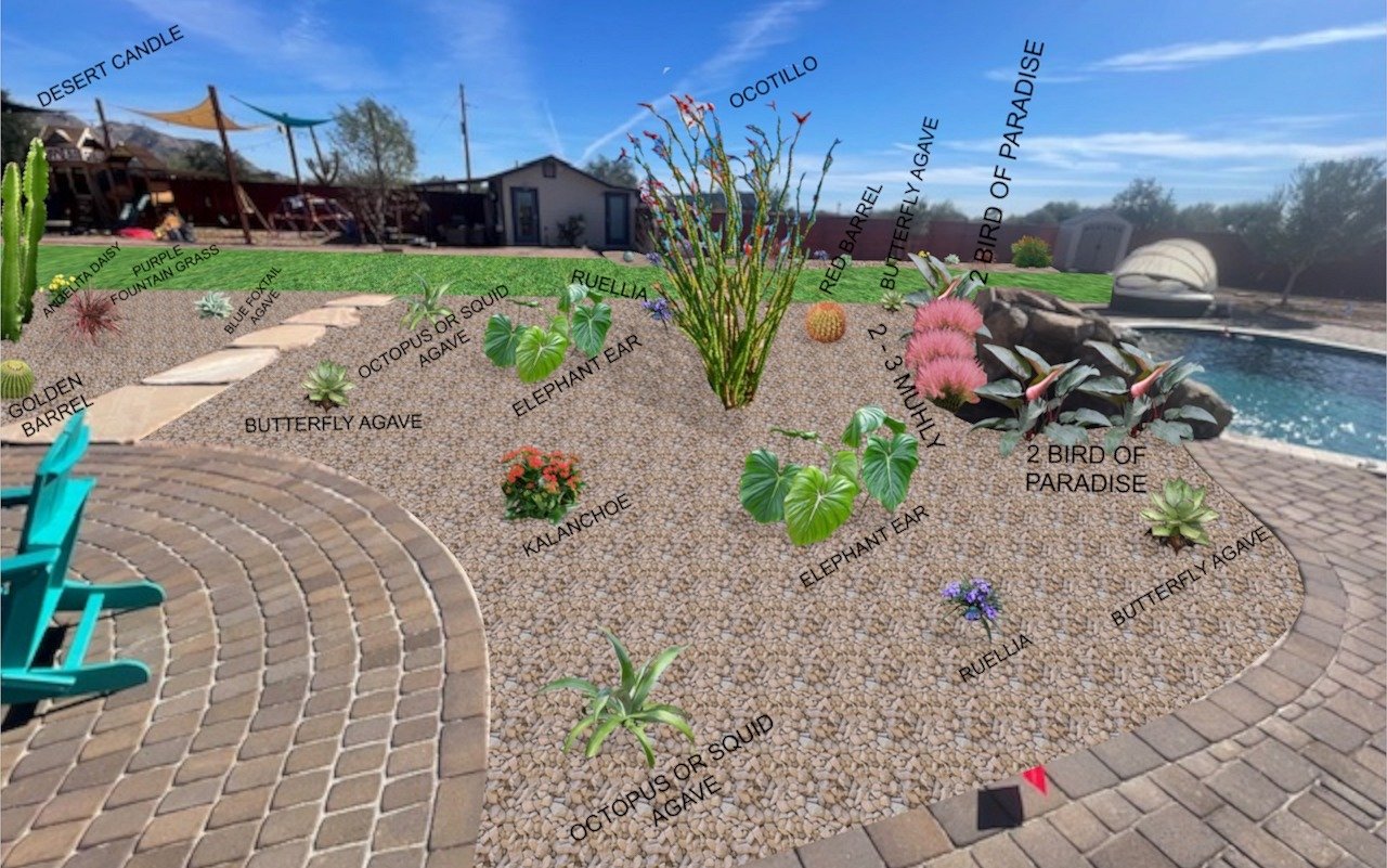 AARON 16 - PLANT DIAGRAM CROPPED.JPG