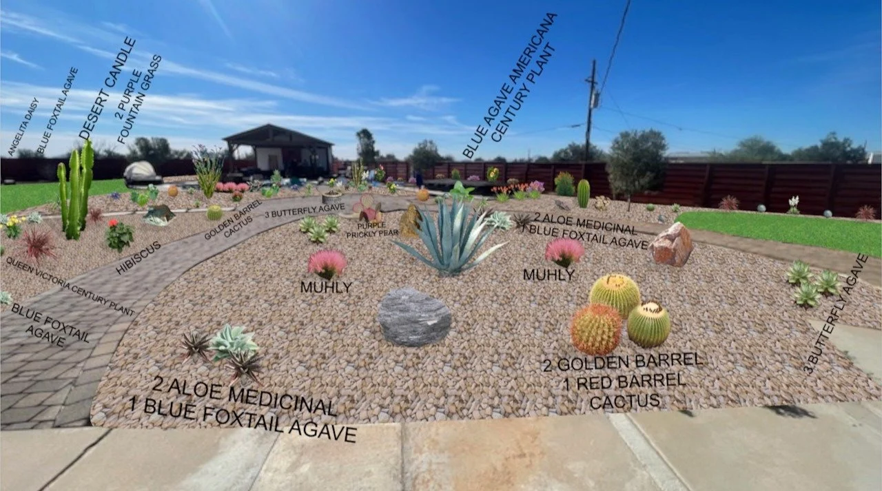 AARON 10 - PLANT DIAGRAM CROPPED.JPG