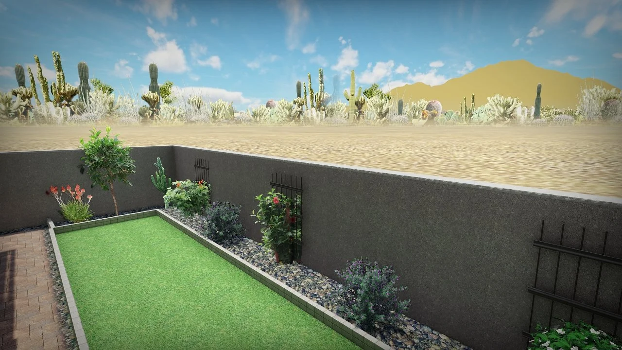 Left back yard.jpg
