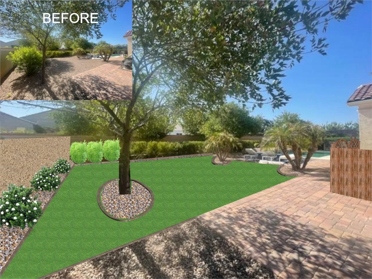 SANDY - TURF FROM SIDE YARD.jpg